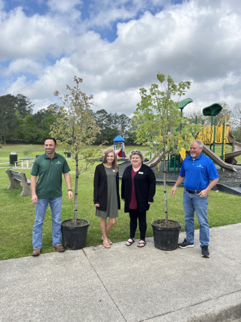 Tree planting